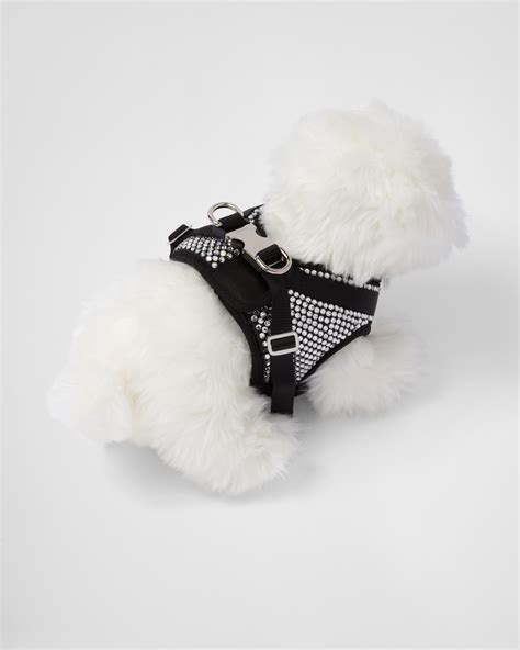 prada dog harness|high end rounded dog collar.